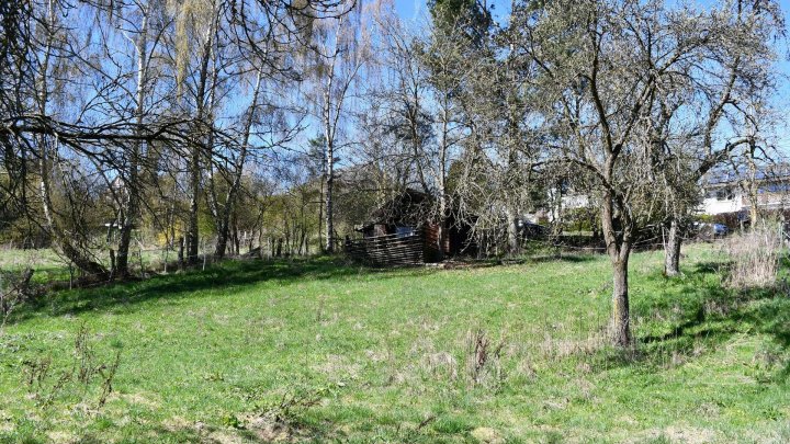 Ehemalige Hofstelle mit Holzrechten – Leben und Raum für Ideen!