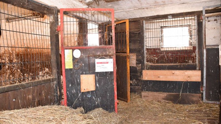 Ehemalige Hofstelle mit Holzrechten – Leben und Raum für Ideen!