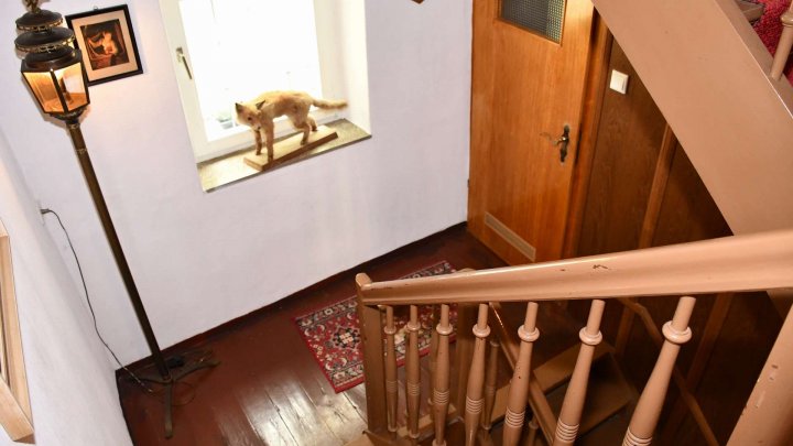 Uriges Wohnhaus in idyllischer Ortsrandlage – Leben im Einklang mit der Natur!