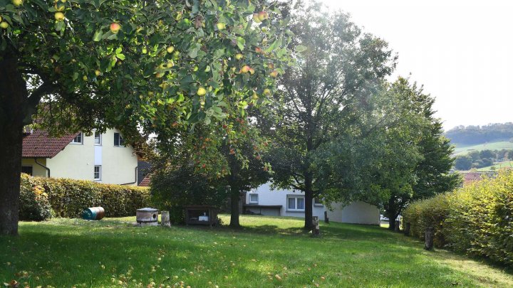 Ihre Mieter sind schon da! Solides 3-Familienhaus 

mit großem Grundstück und Photovoltaikanlage!
