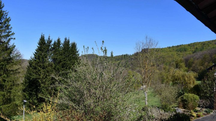 Neuer Angebotspreis! Freistehendes Einfamilienhaus in naturnaher Lage!