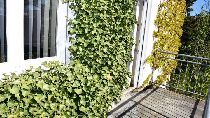 Ein Haus voller Möglichkeiten – jetzt mit attraktivem Kaufpreis!