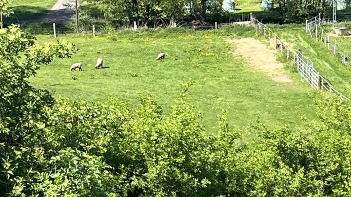 Einzigartiger Landsitz in traumhafter Alleinlage – jetzt preislich neu positioniert!