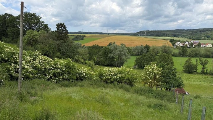 Einzigartiger Landsitz in traumhafter Alleinlage – jetzt preislich neu positioniert!