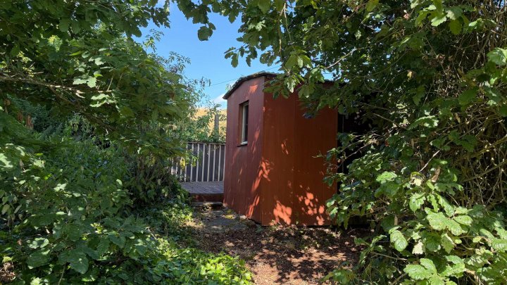 Neue Kaufchance: Ferienhaus mit großem Grundstück nahe dem Edersee!