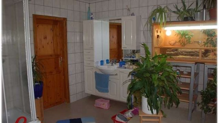 Großzügige Eigentumswohnung mit Garten und hoher Privatsphäre nahe Korbach!