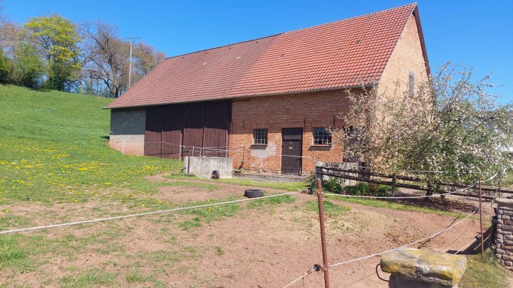 Großzügige Hofanlage mit Scheune, Weideland und viel Platz zum Leben!