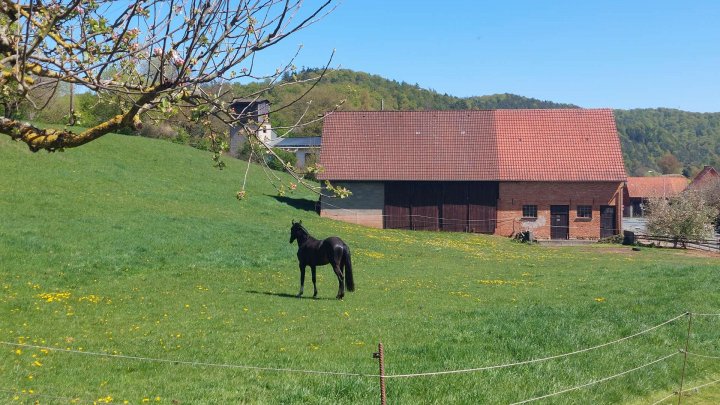 Großzügige Hofanlage mit Scheune, Weideland und viel Platz zum Leben!
